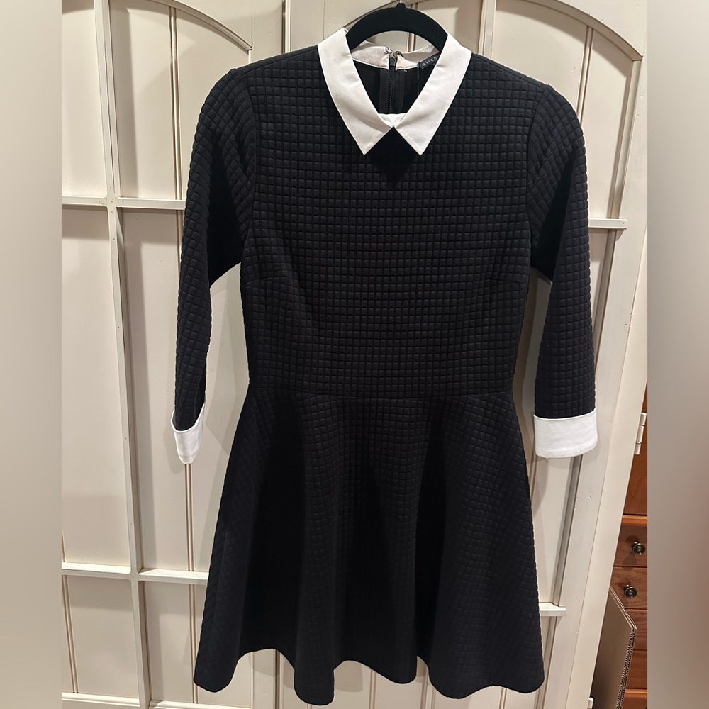 Alice & Olivia Black Sweater Dress with White Collar